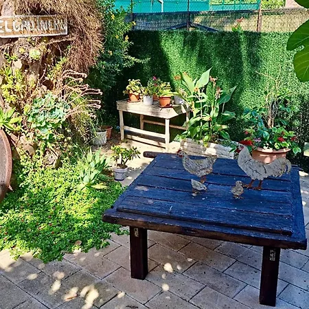 Homestay Vacacional El Gallineru Rionansa *
